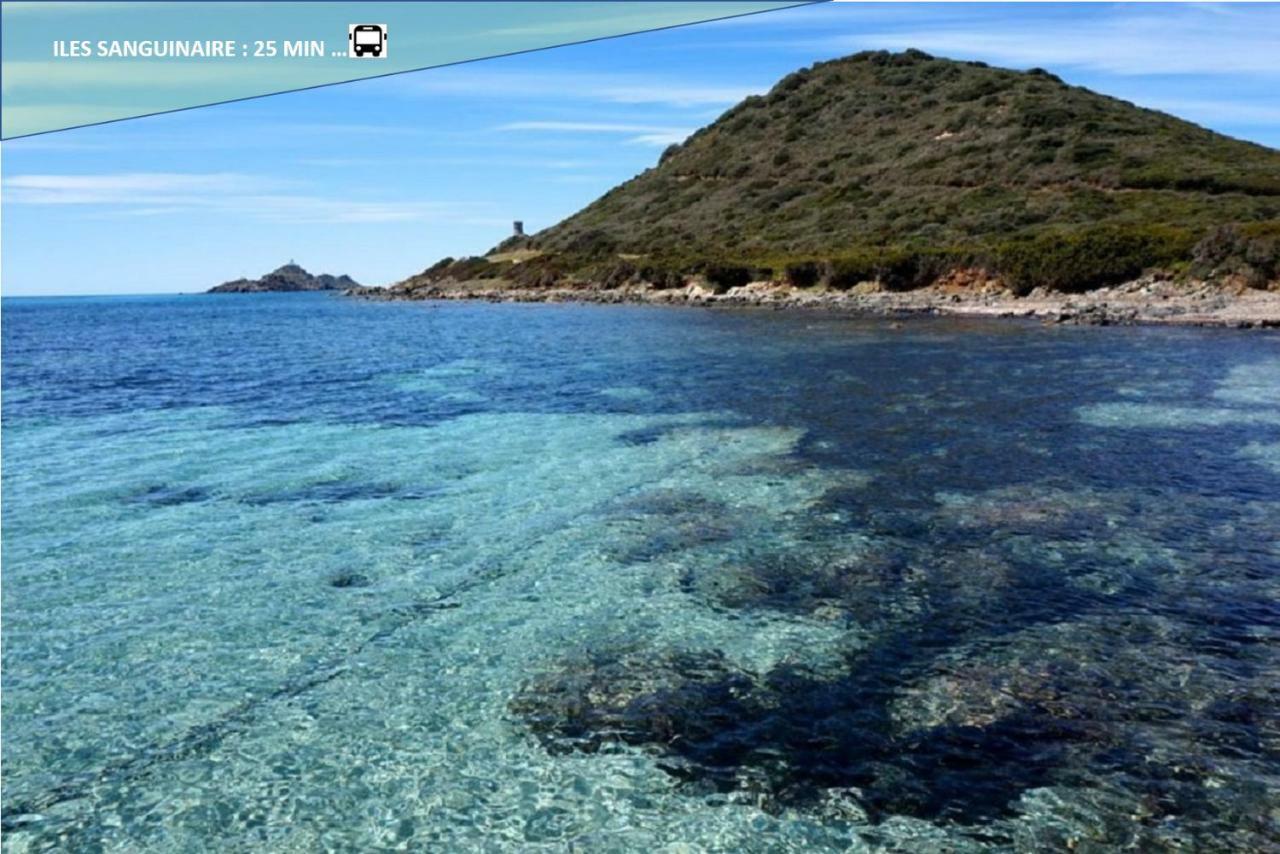 Centre Ajaccio ☆ Wifi ☆ Clim ☆ Plages Екстер'єр фото